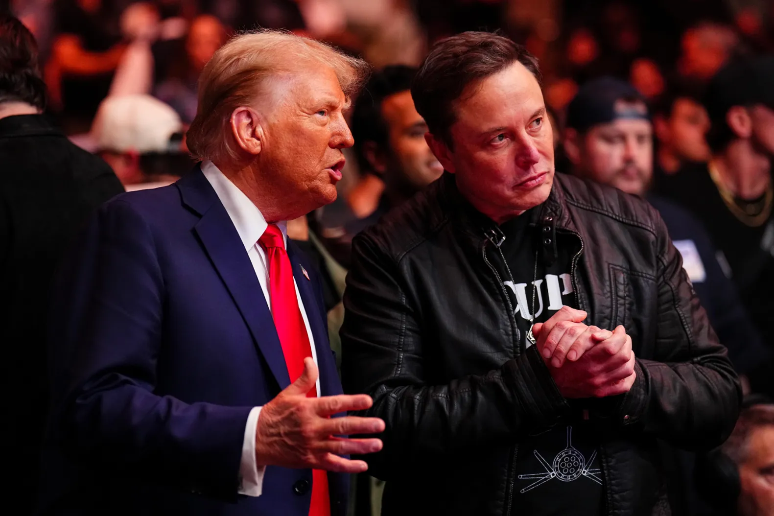 Donald Trump & Elon Musk